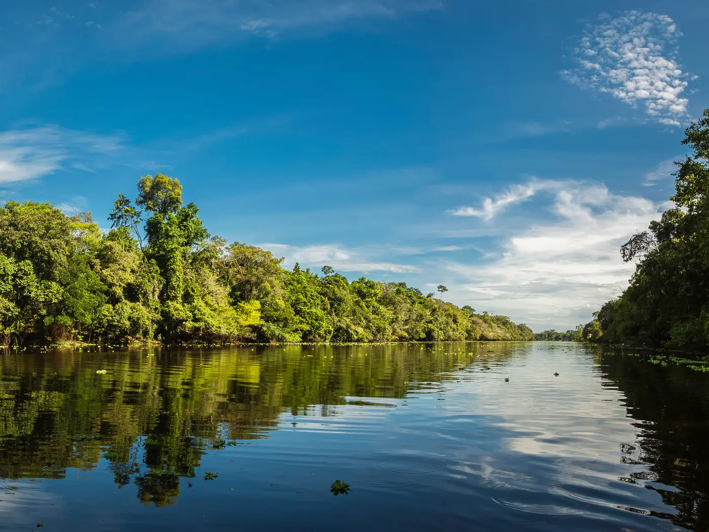Pacaya Samiria National Reserve, Amazon