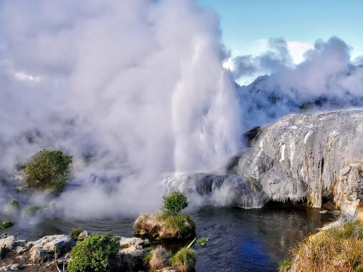 The Pohutu Geyser, Rotorua