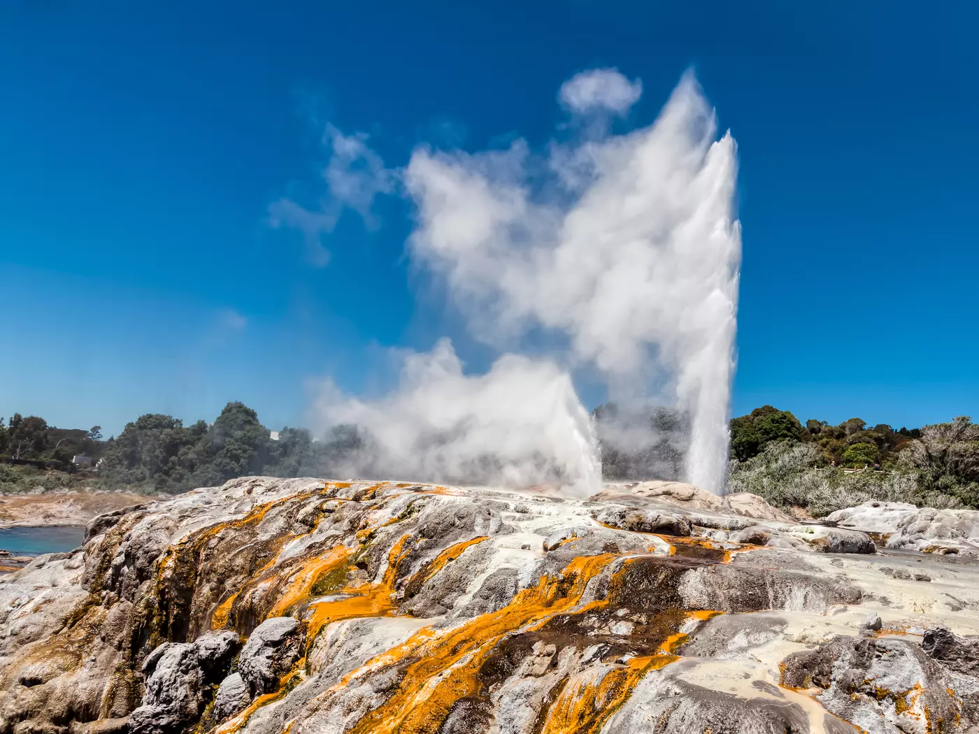 Pohutu Geyser, Rotorua Pohutu Geyser in Te Puia