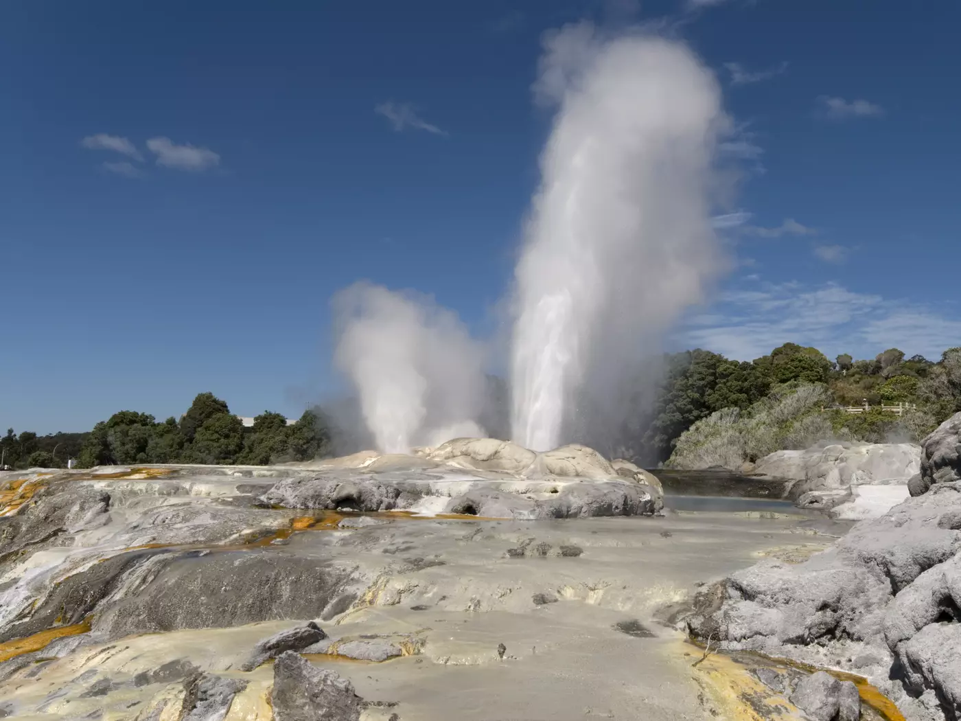 Pohutu and Prince of Wales geysers, Rotorua