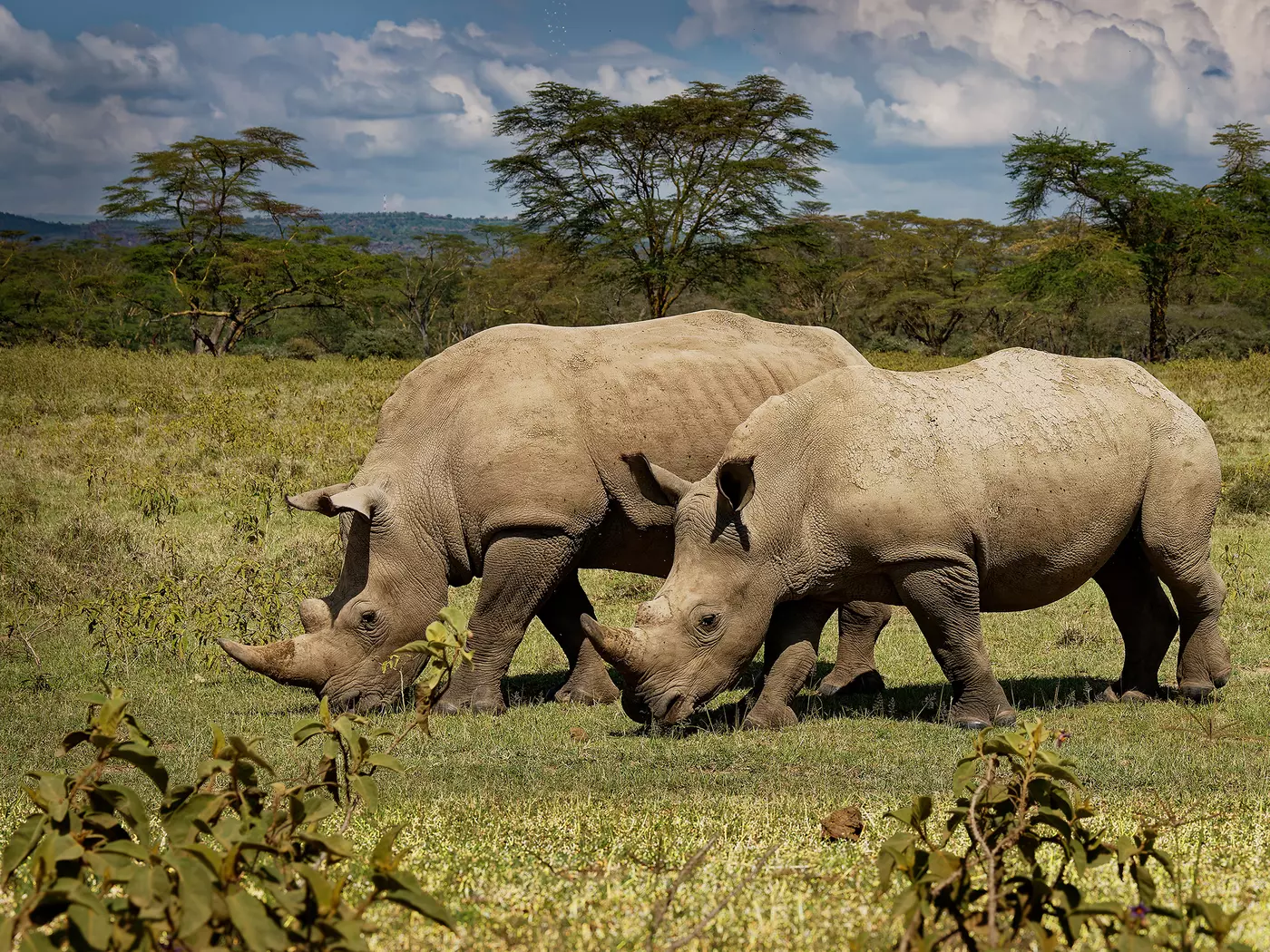 Lake Nakuru National Park