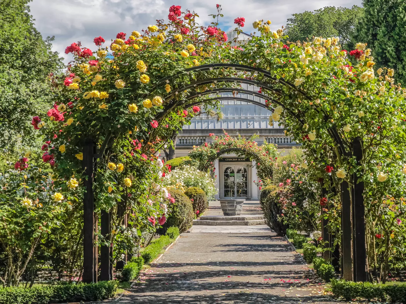 Christchurch Botanic Gardens Rose Garden Botanical Garden Christchurch