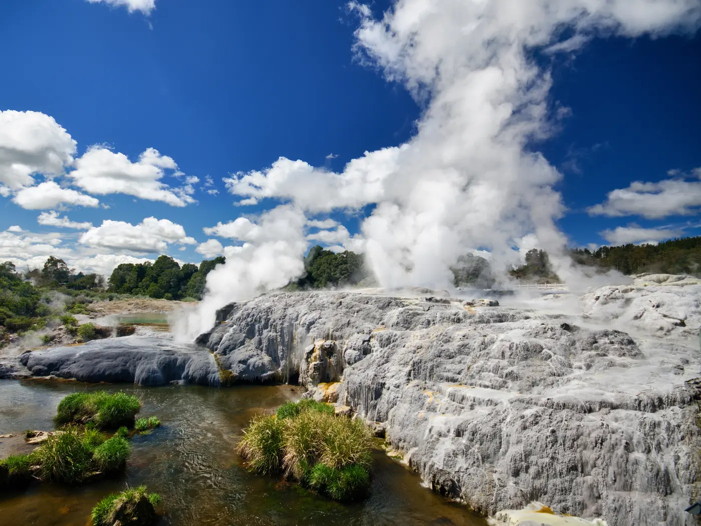 Rotorua Rotorua
