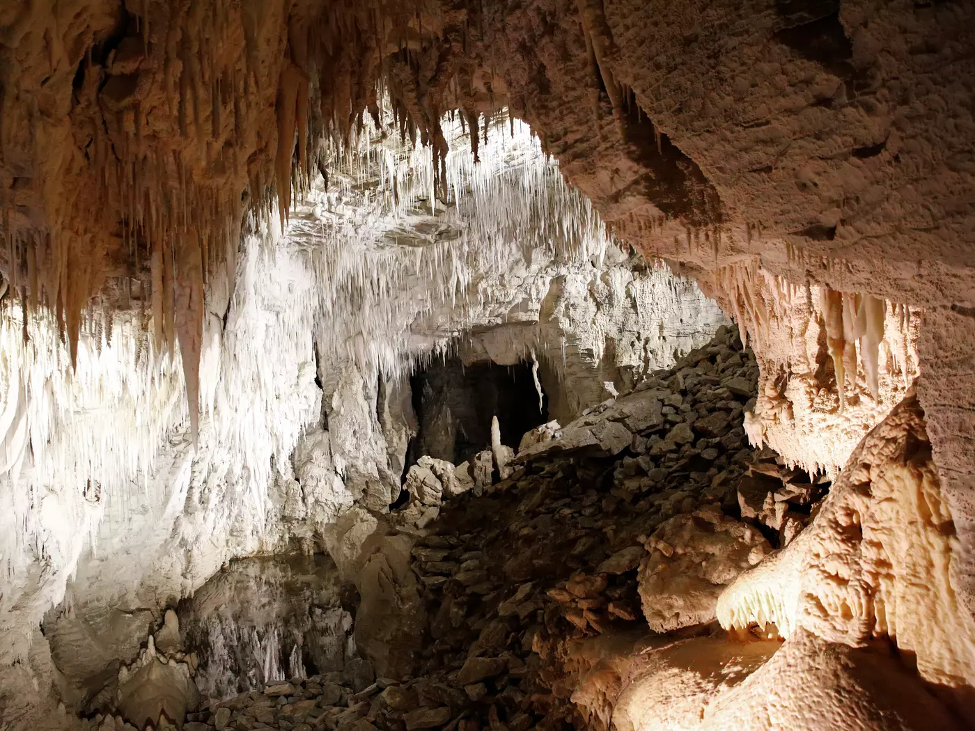 Ruakuri Cave, Waitomo