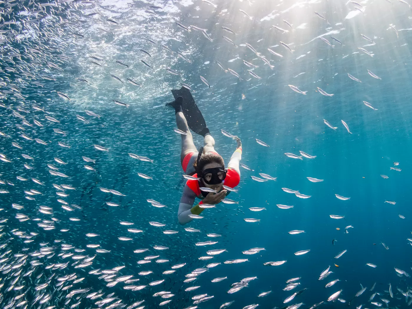 Snorkel in the Sea of Cortez