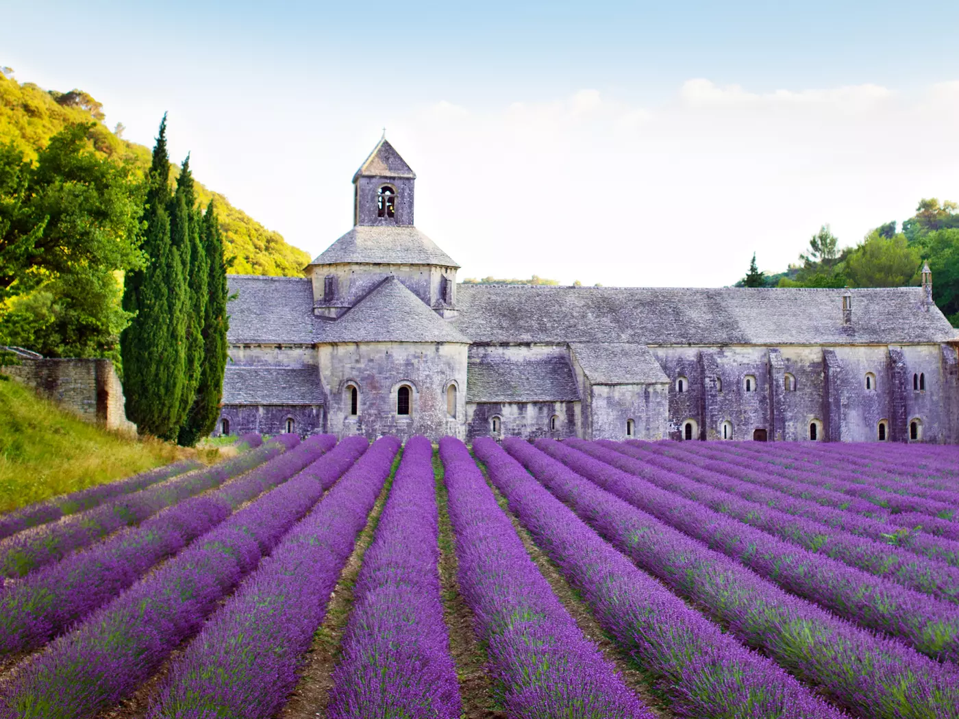 Senanque Abbey, Provence