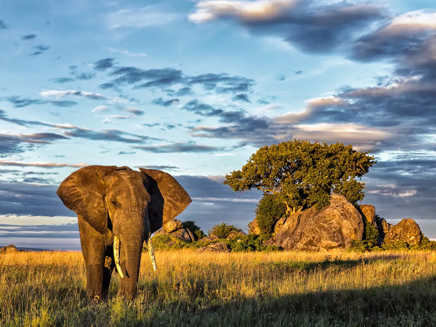 Serengeti National Park
