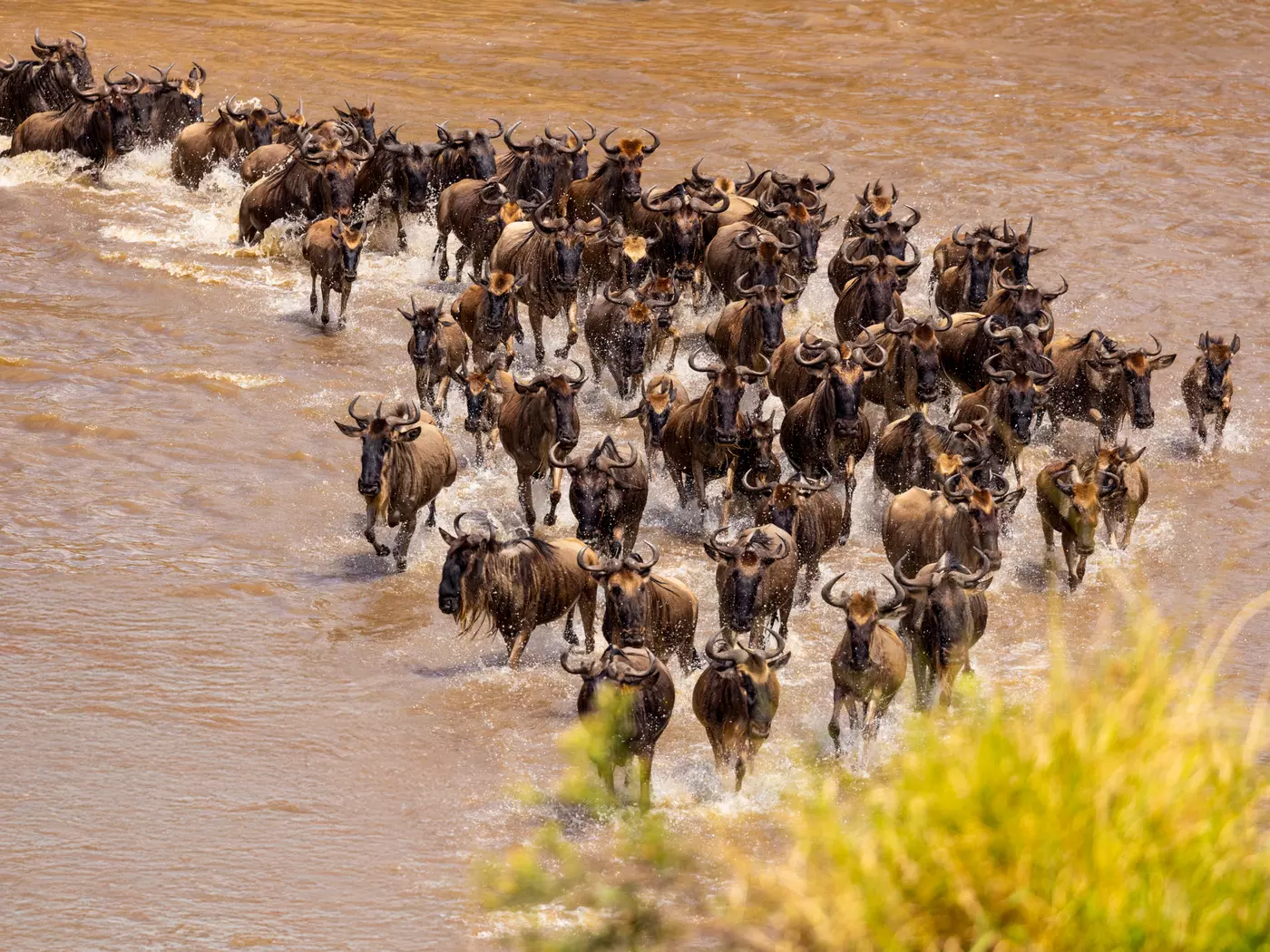 Serengeti National Park