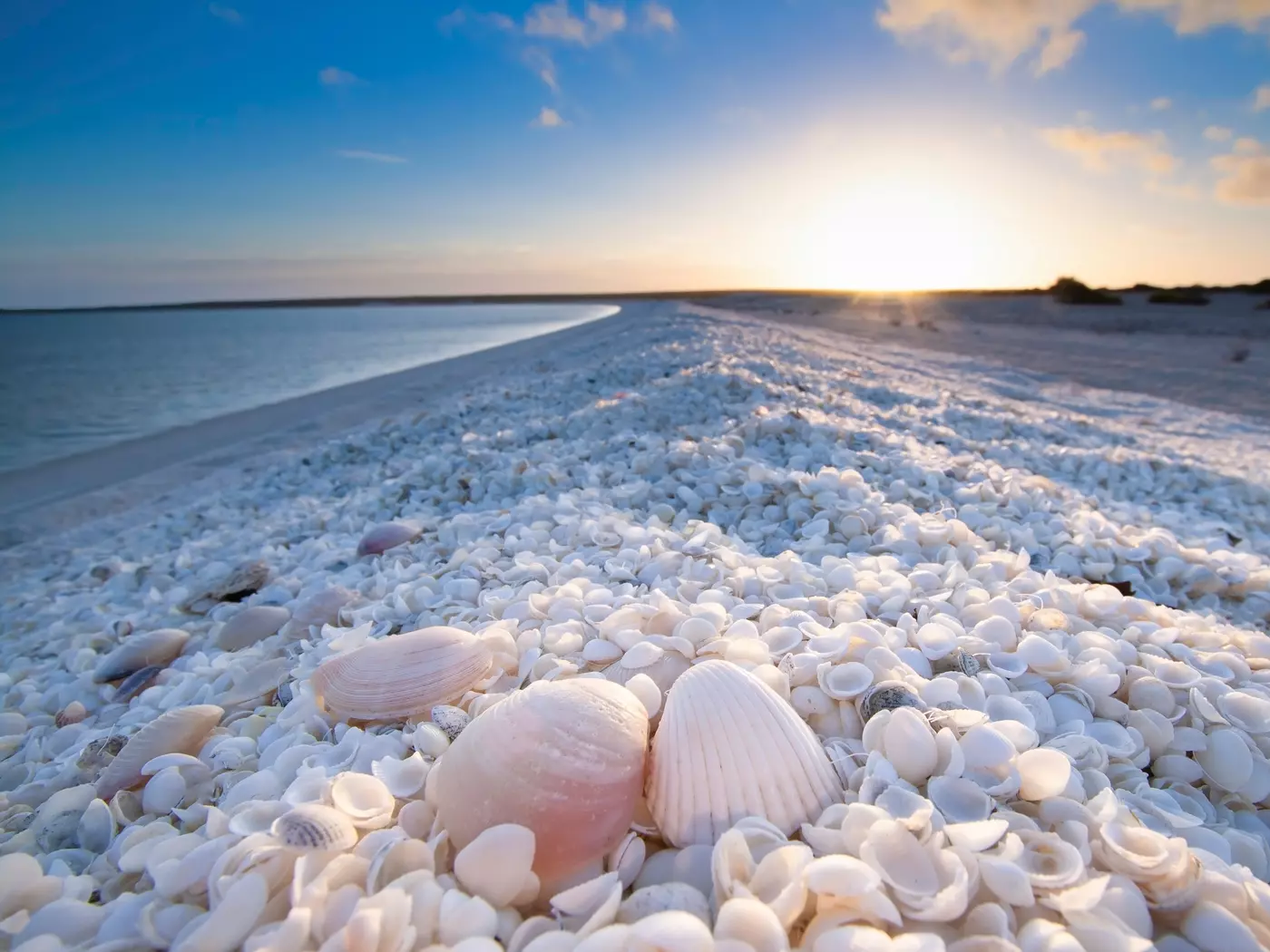 Shell Beach, Monkey Mia