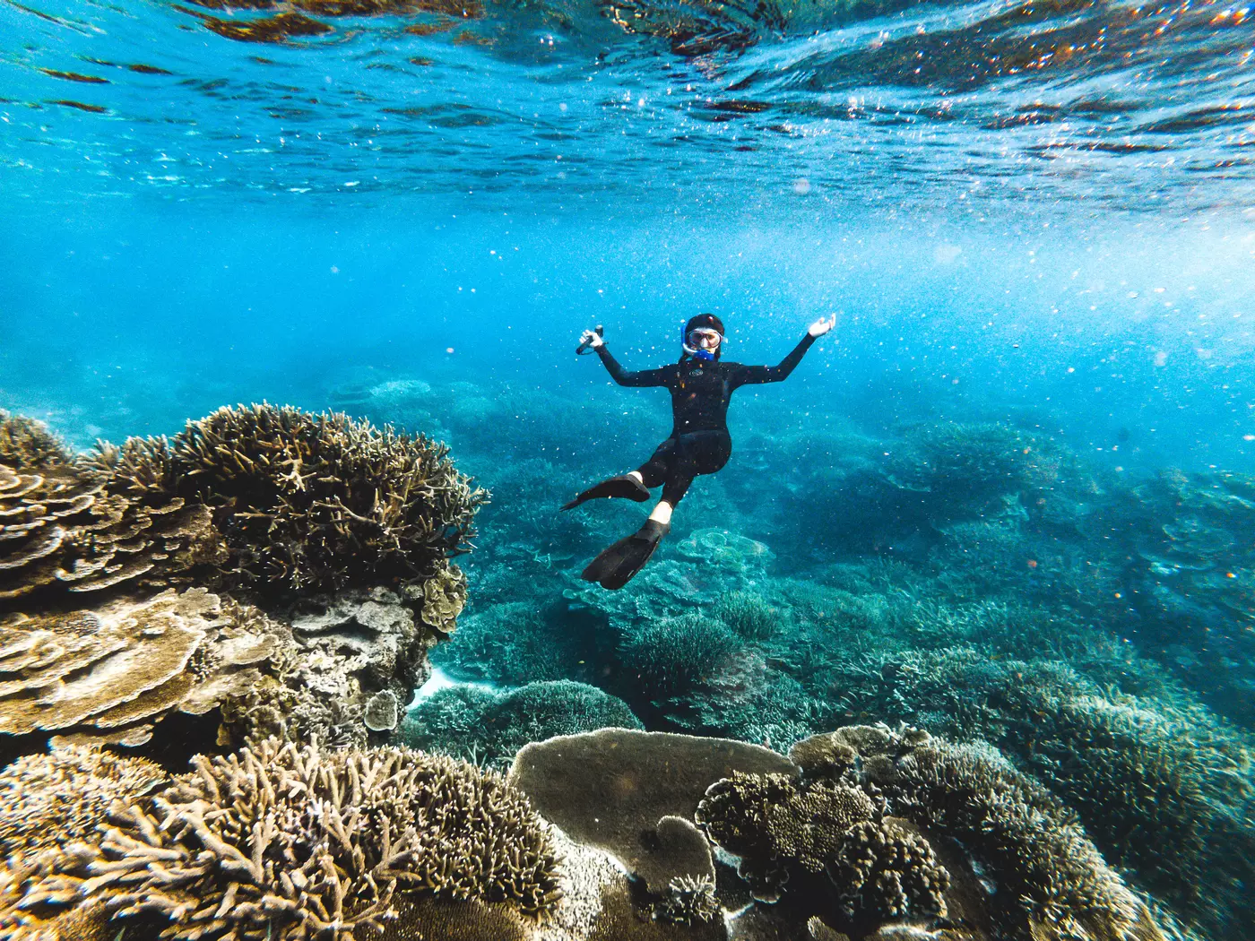 Snorkel the Great Barrier Reef