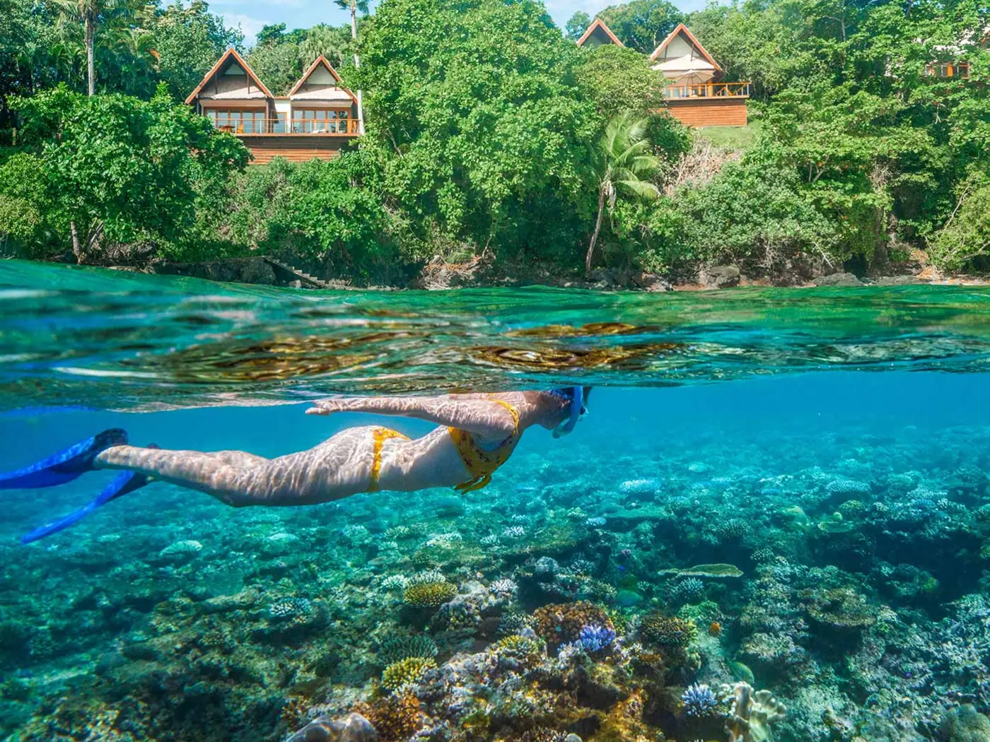 Snorkeling at Royal Davui Resort