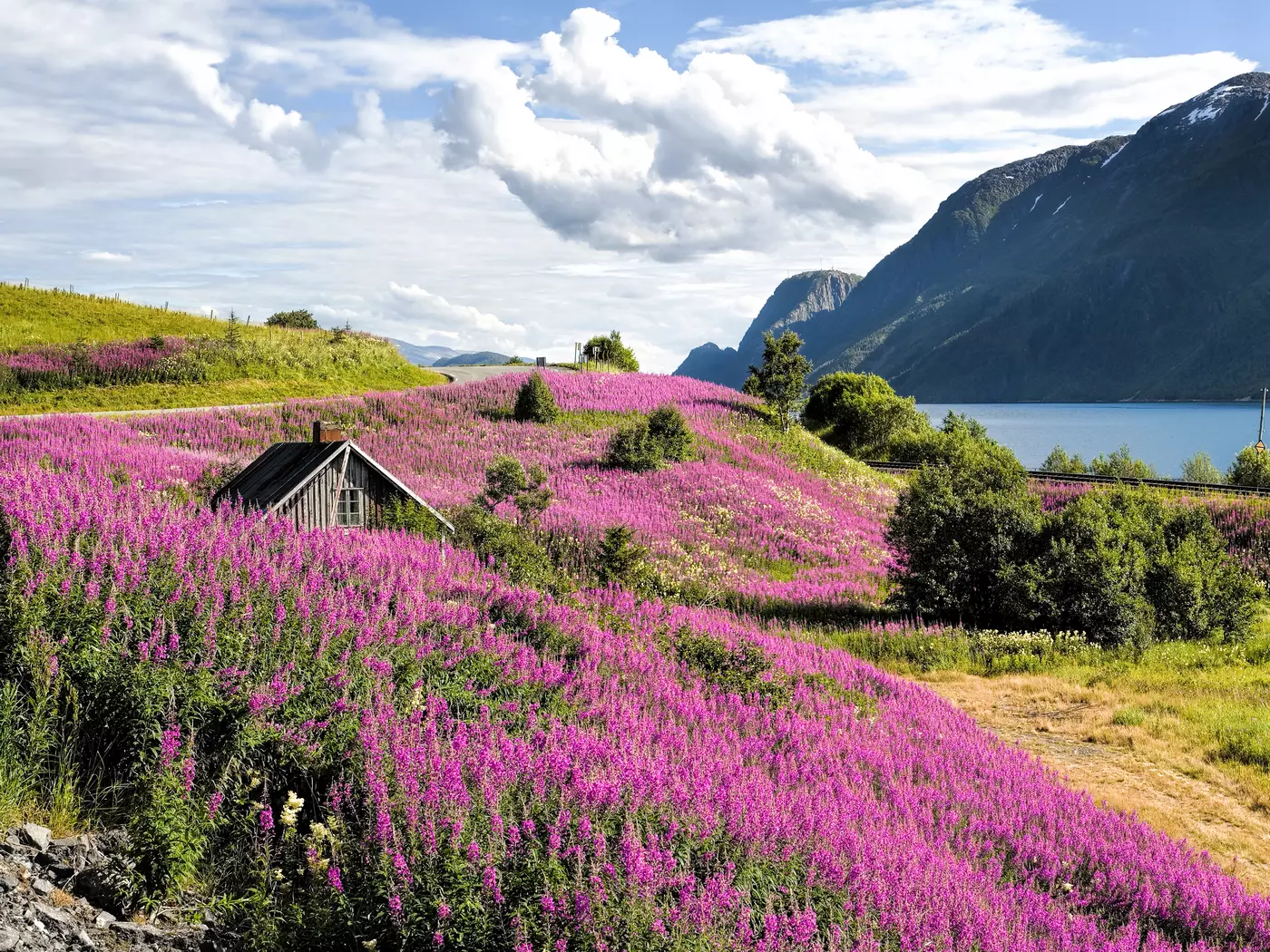 Sognefjord