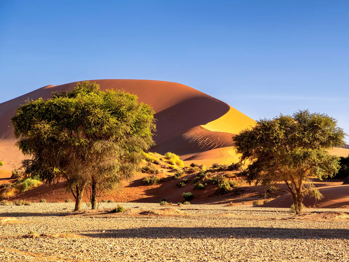 Sossusvlei