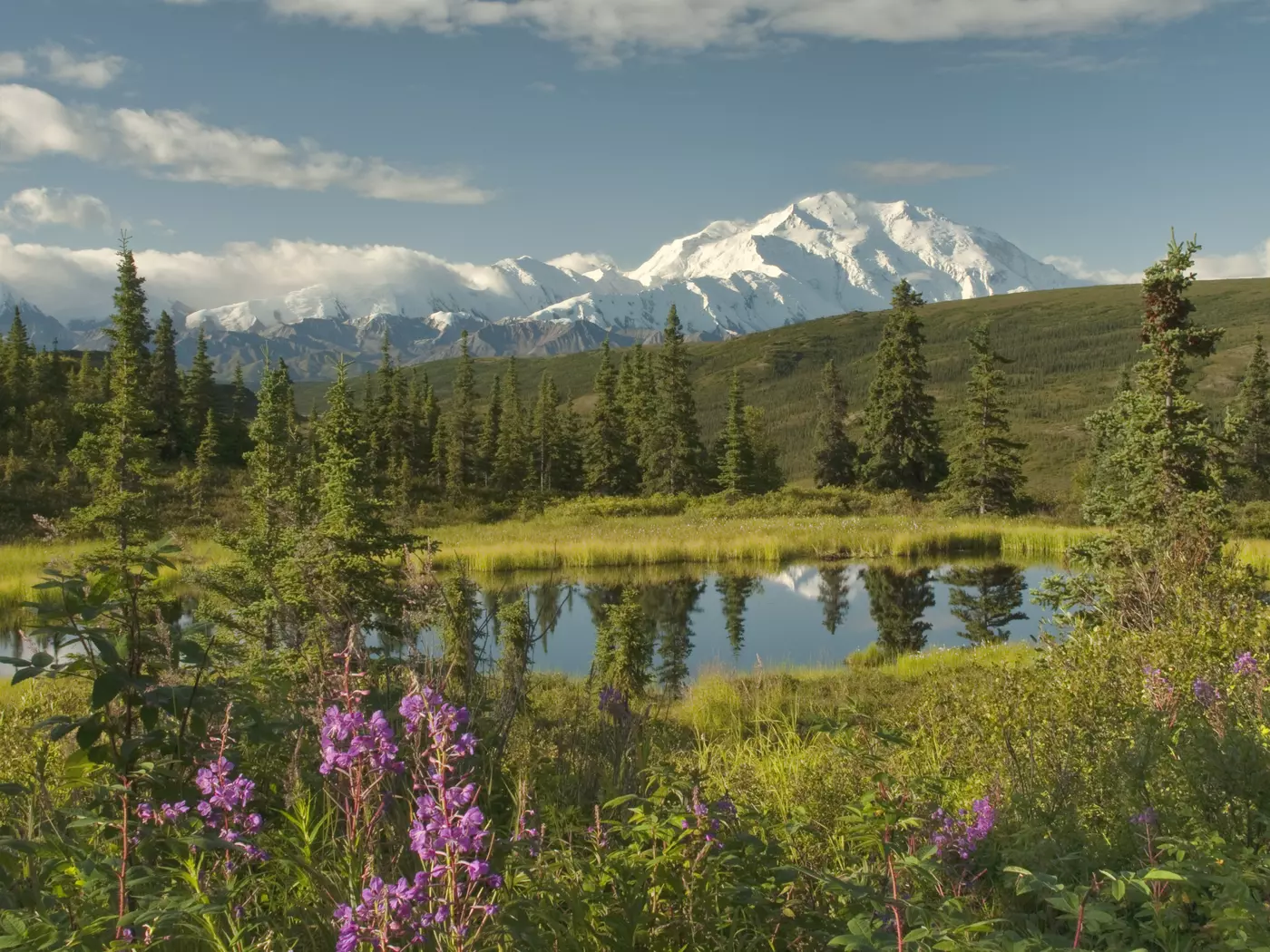 Sunrise at Denali