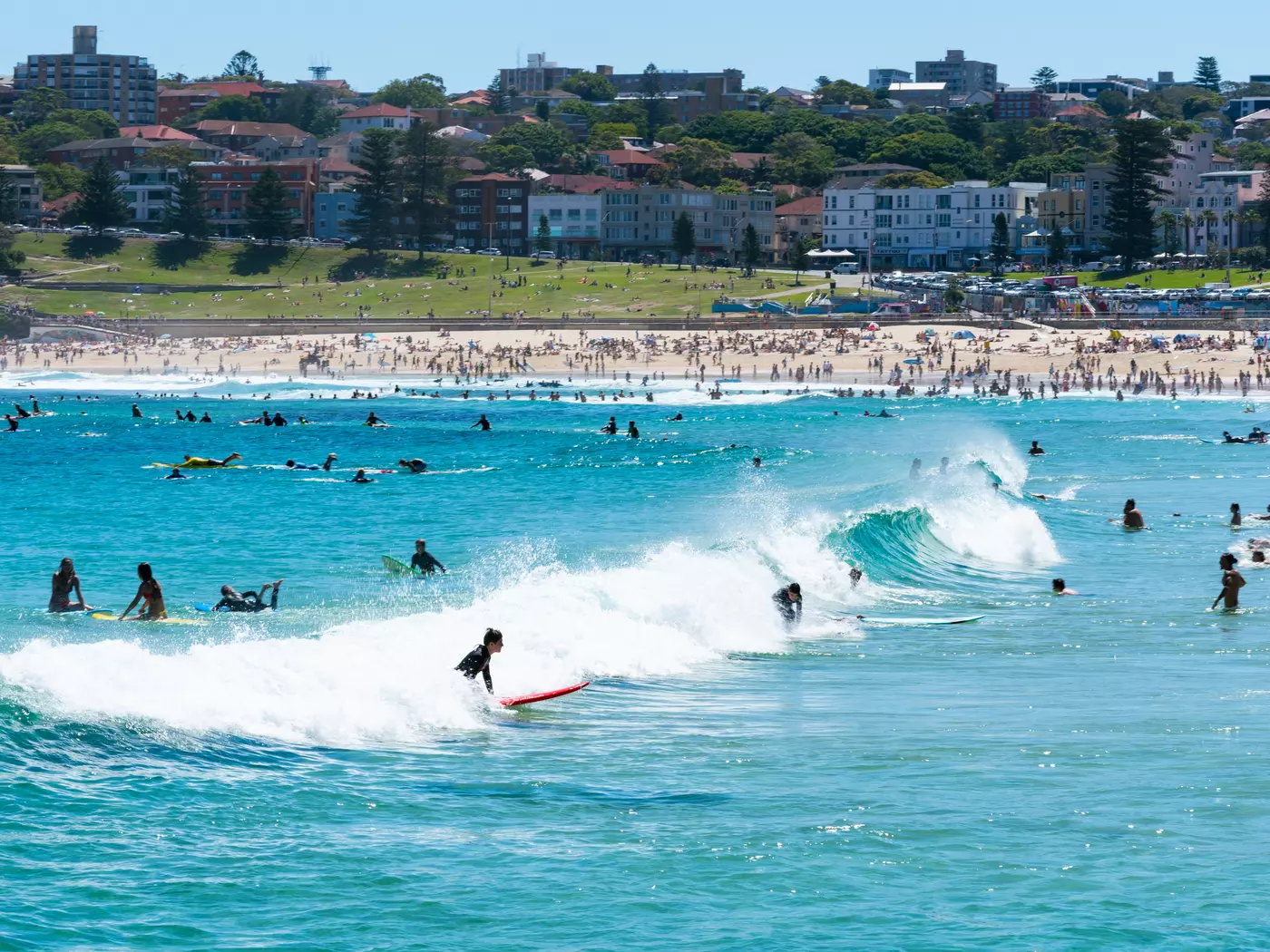 Surfers at Bondi Beach_
