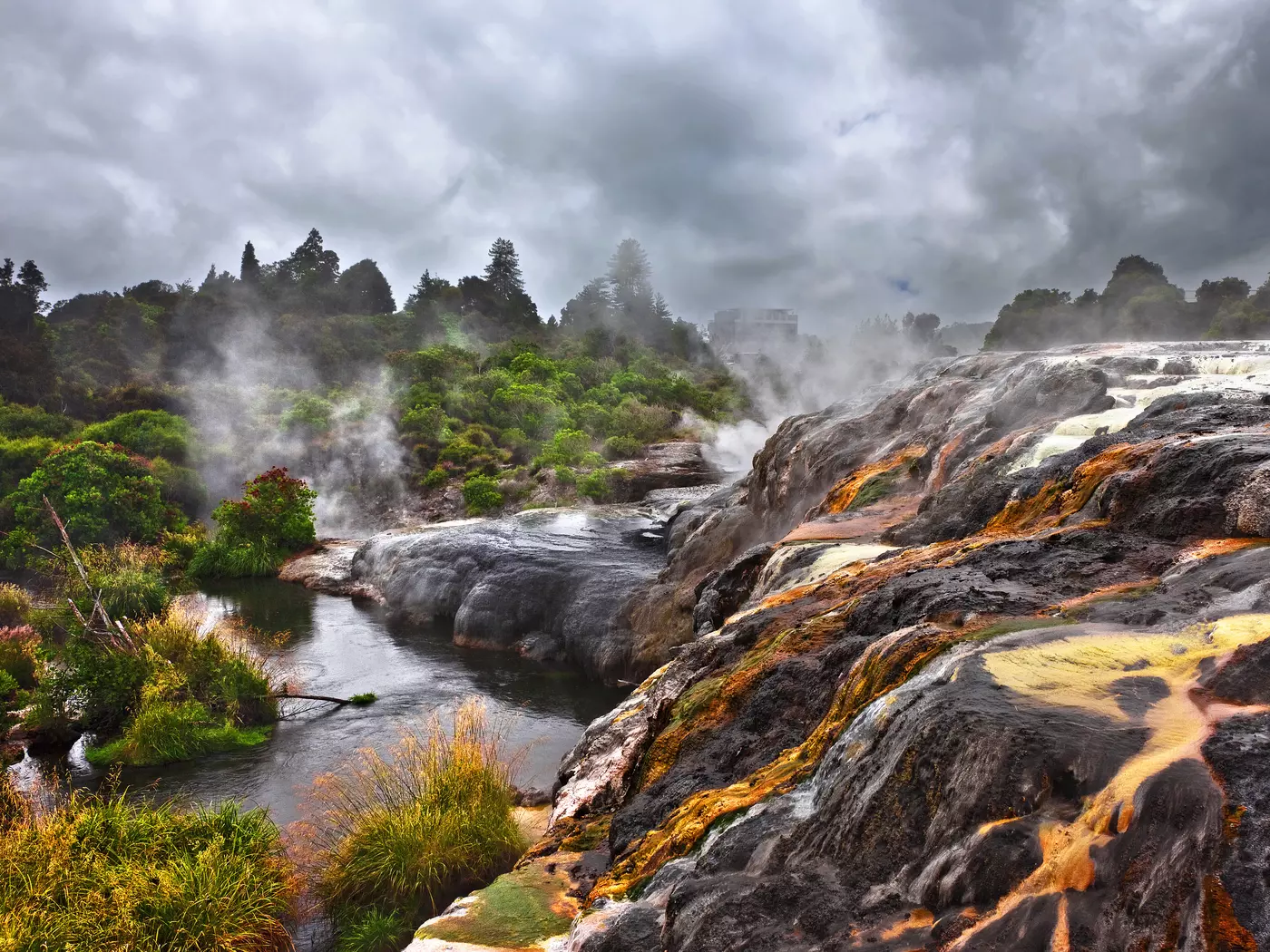 Te Puia, Rotorua