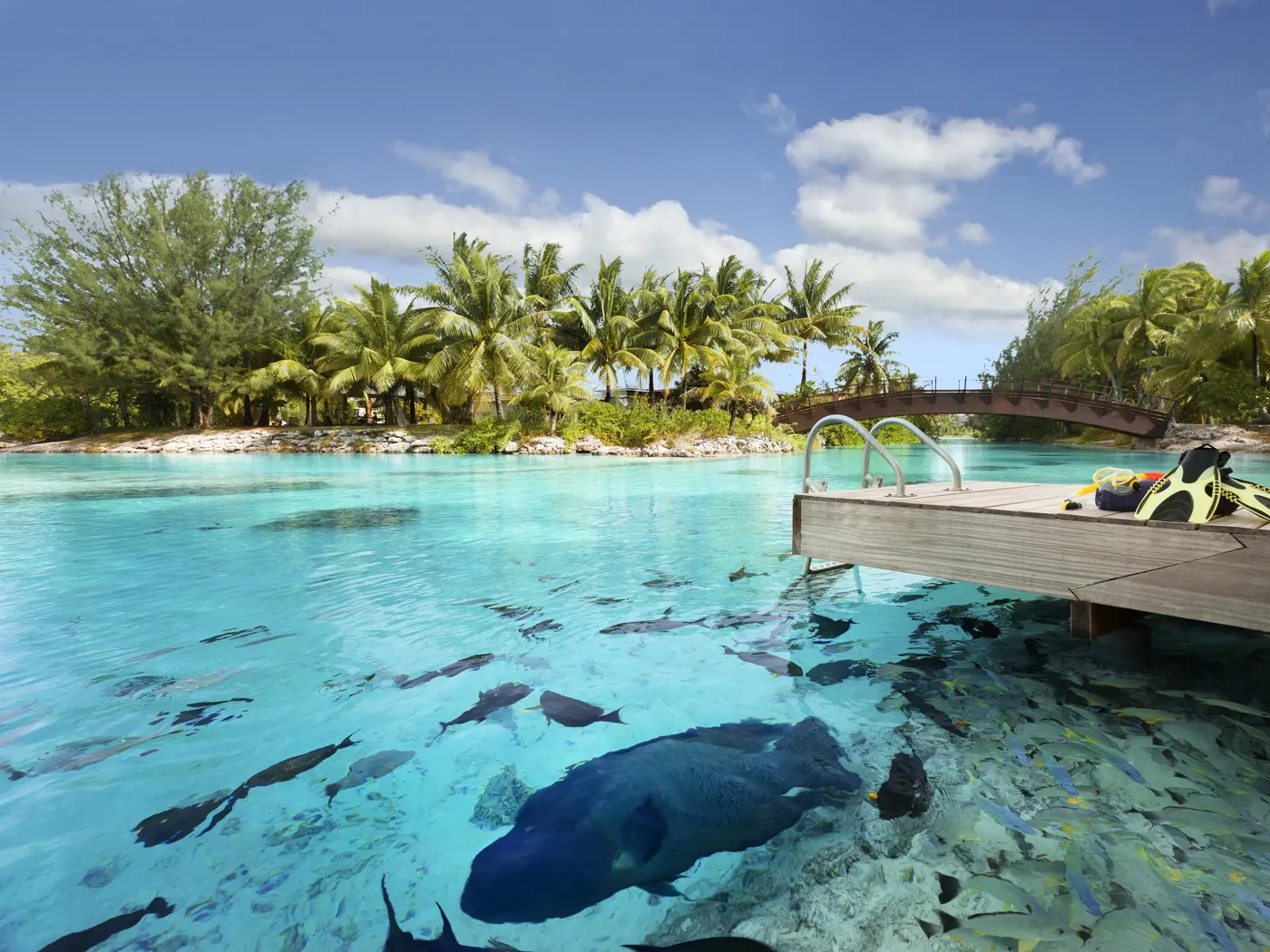 The Lagoonarium, Bora Bora