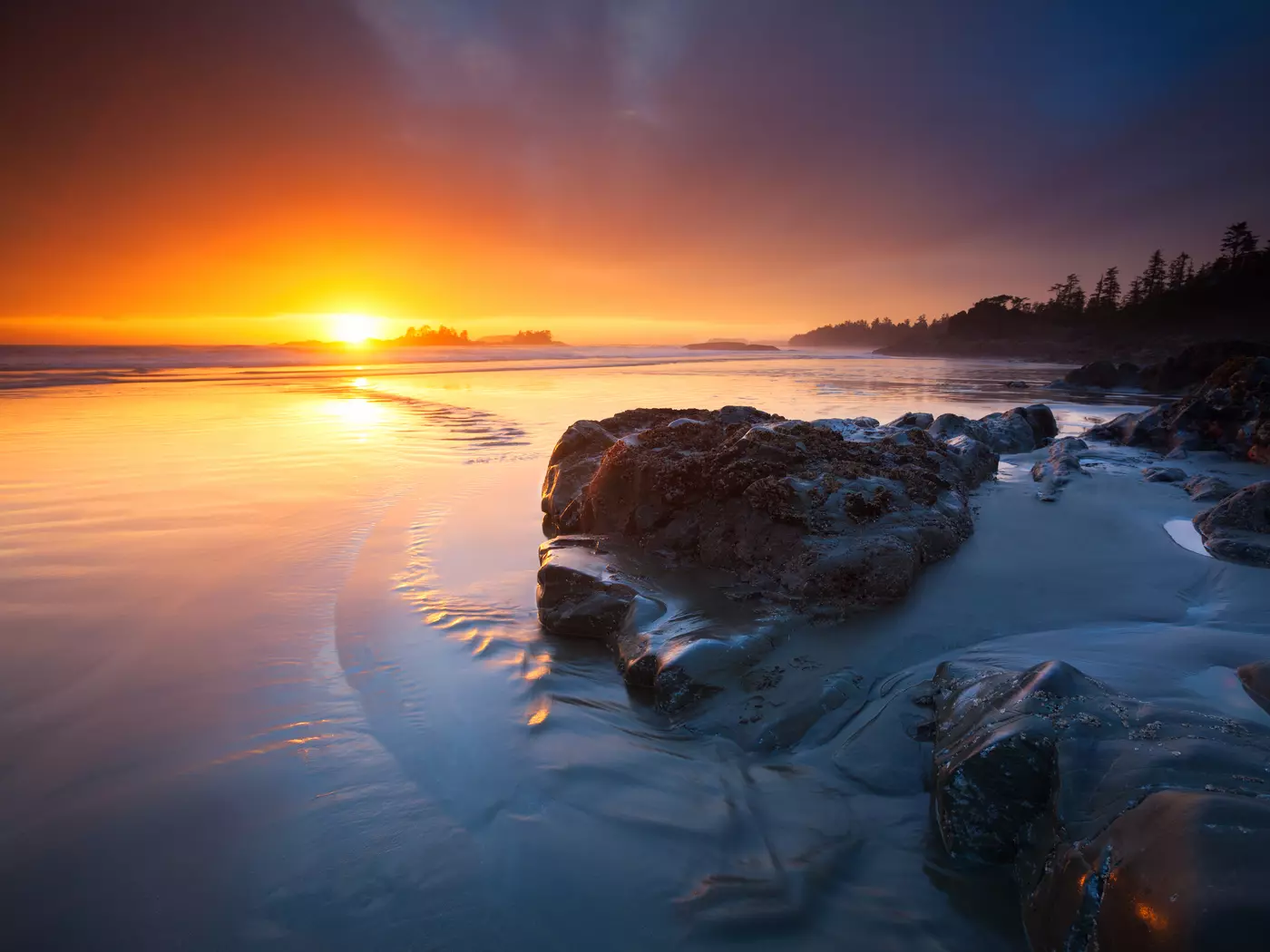 The coastline of Tofino