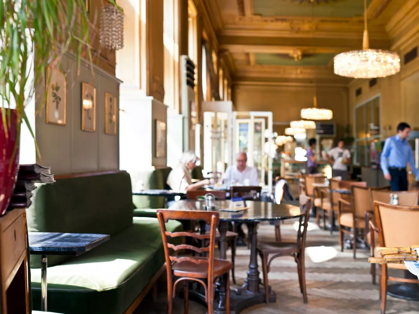 Traditional Viennese Coffee House