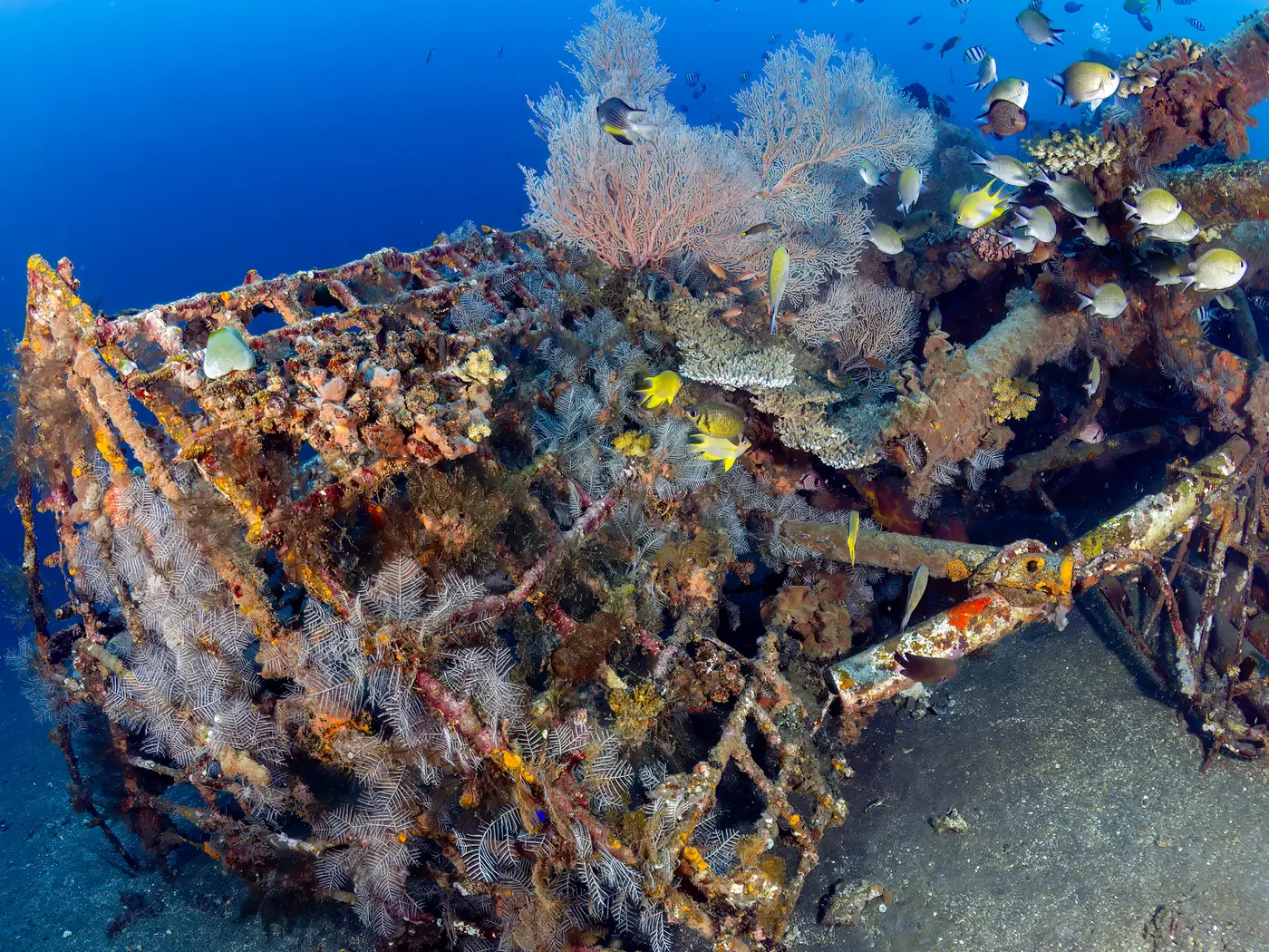 Tulamben Reef
