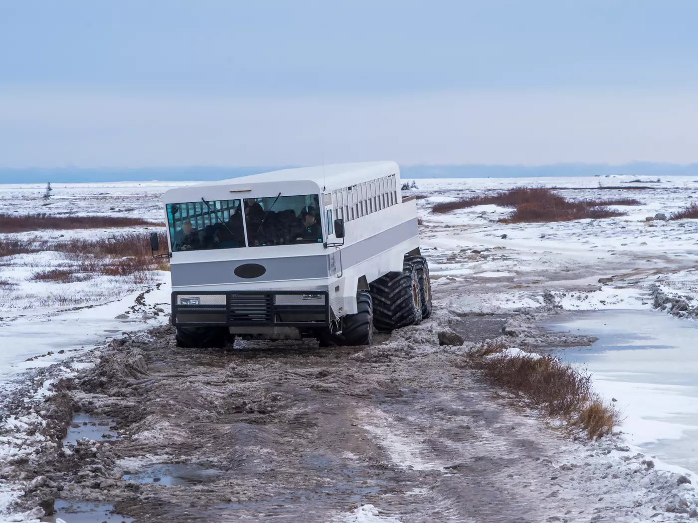 Explore using the unique Tundra Buggies