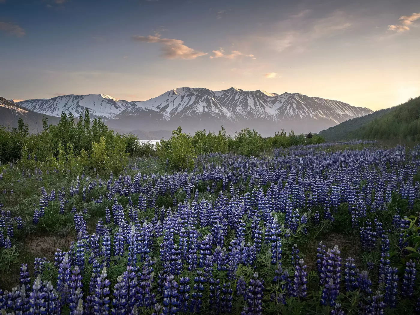 Turnagain Arm