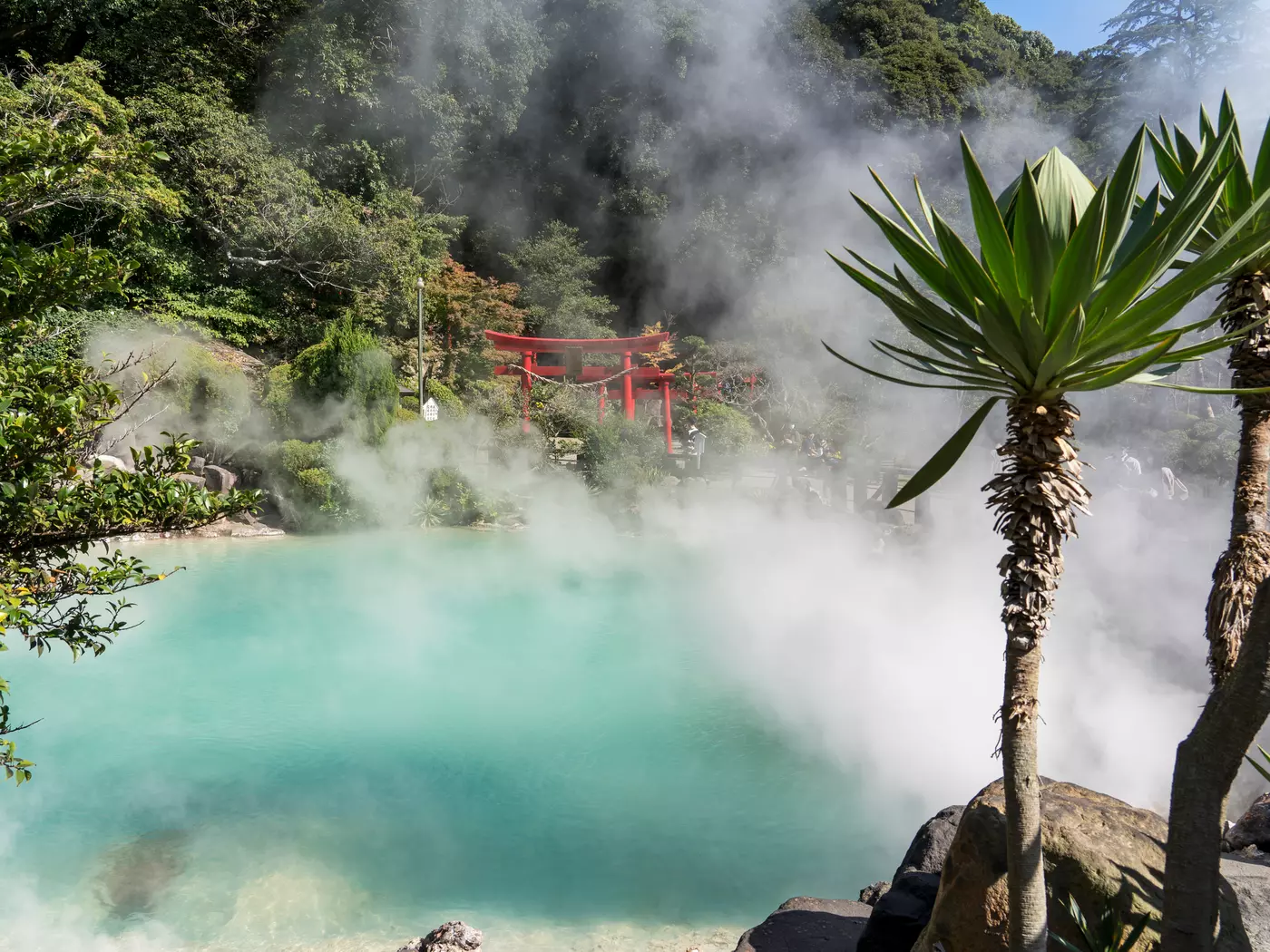 Umi Jigoku Hot Springs, Beppu