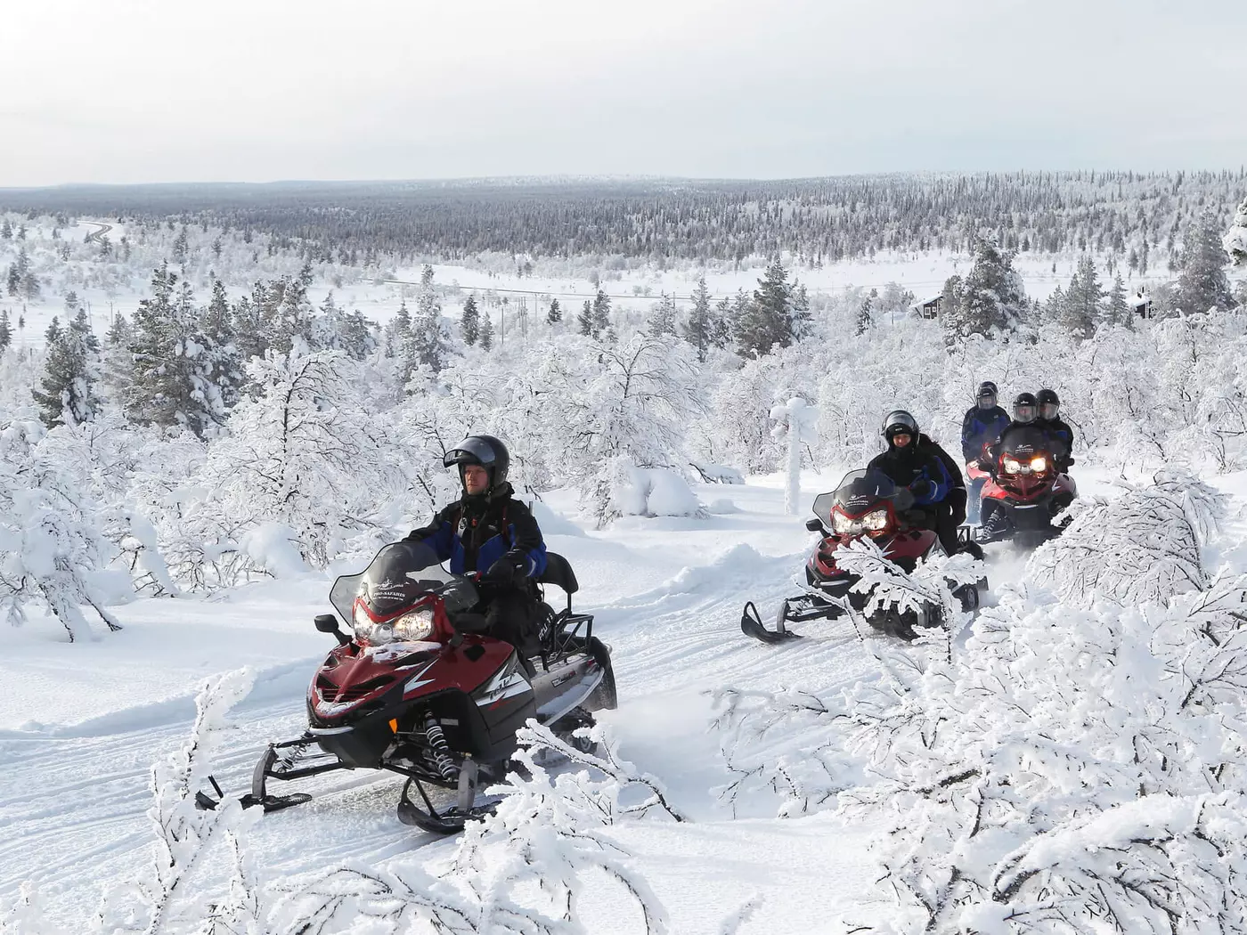 Snowmobile Safari