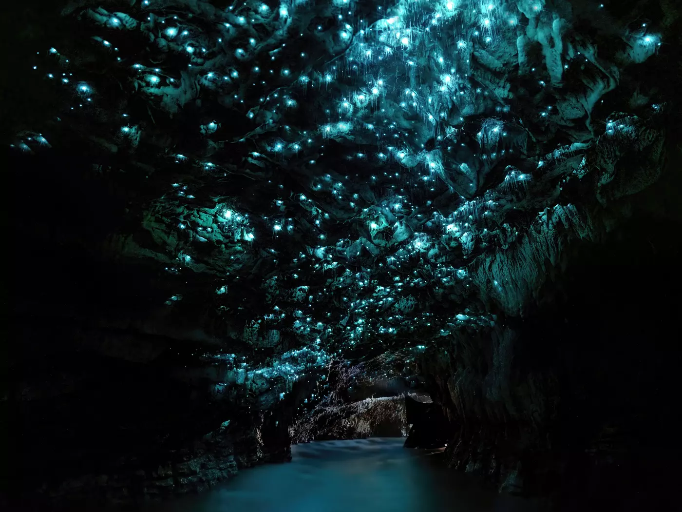 Waitomo Glowworm Caves, Waikato, New Zealand