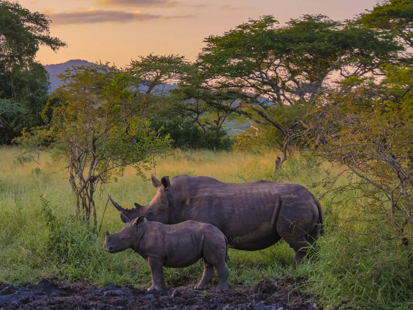 Kruger Game Reserve