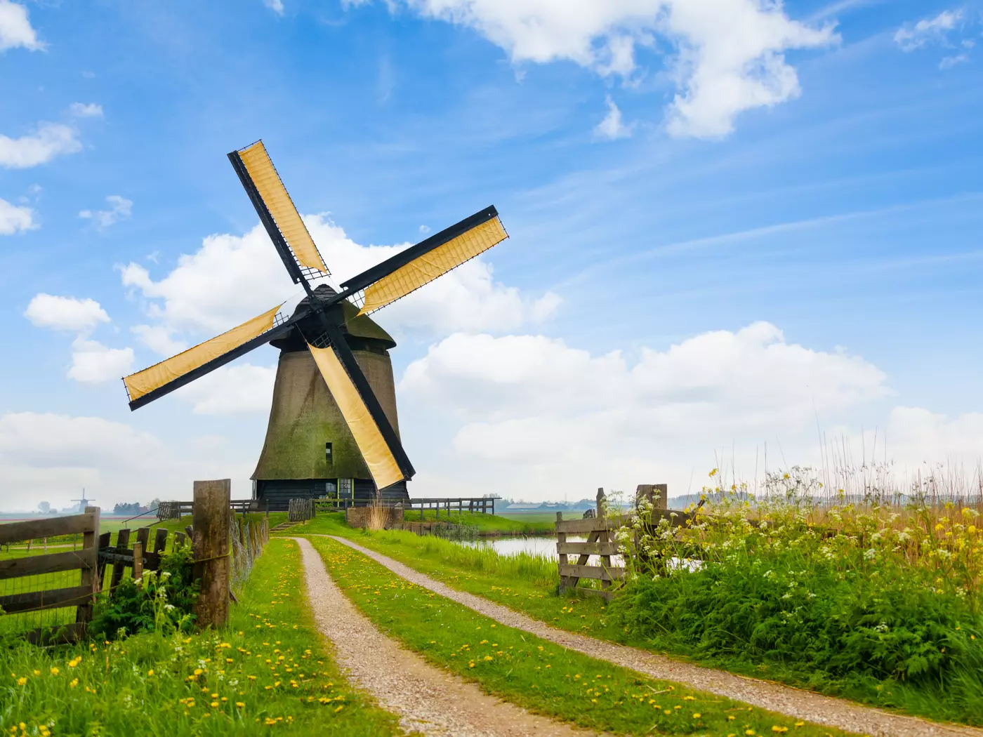 The Netherlands