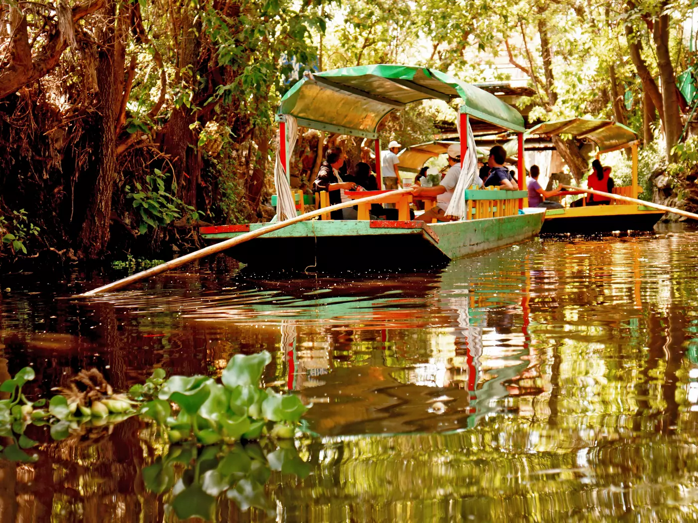 Explore the historic canals of Xochimilco