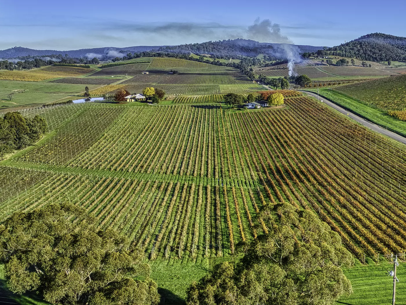 The vineyards of the Yarra Valley