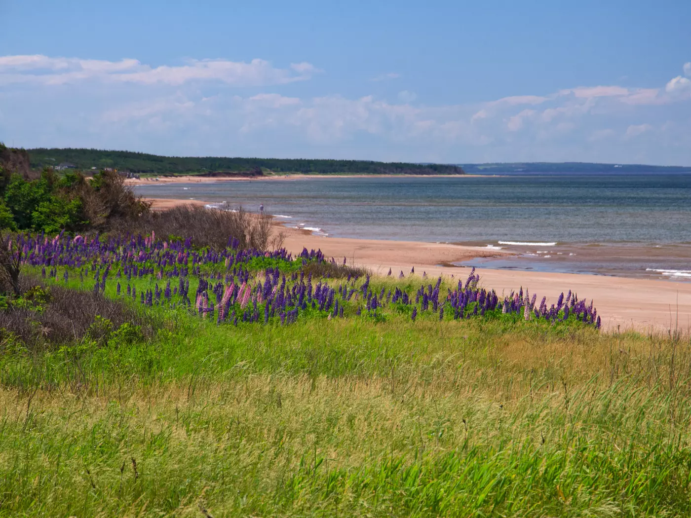 Brackley Beach, PEI