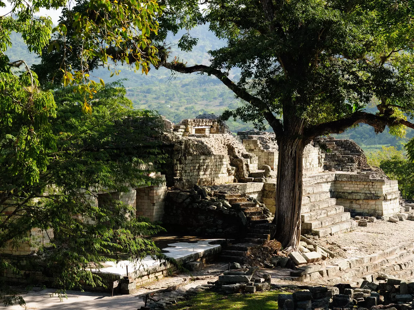 Mayan ruins of Copan surrounded by jungle in Honduras