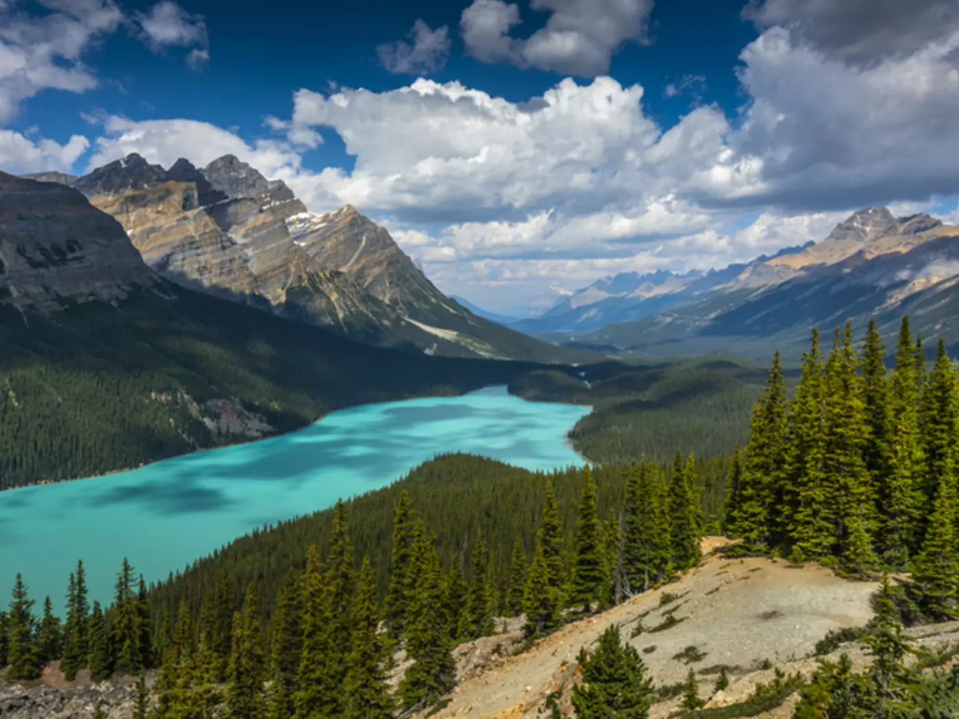 Peyto Lake