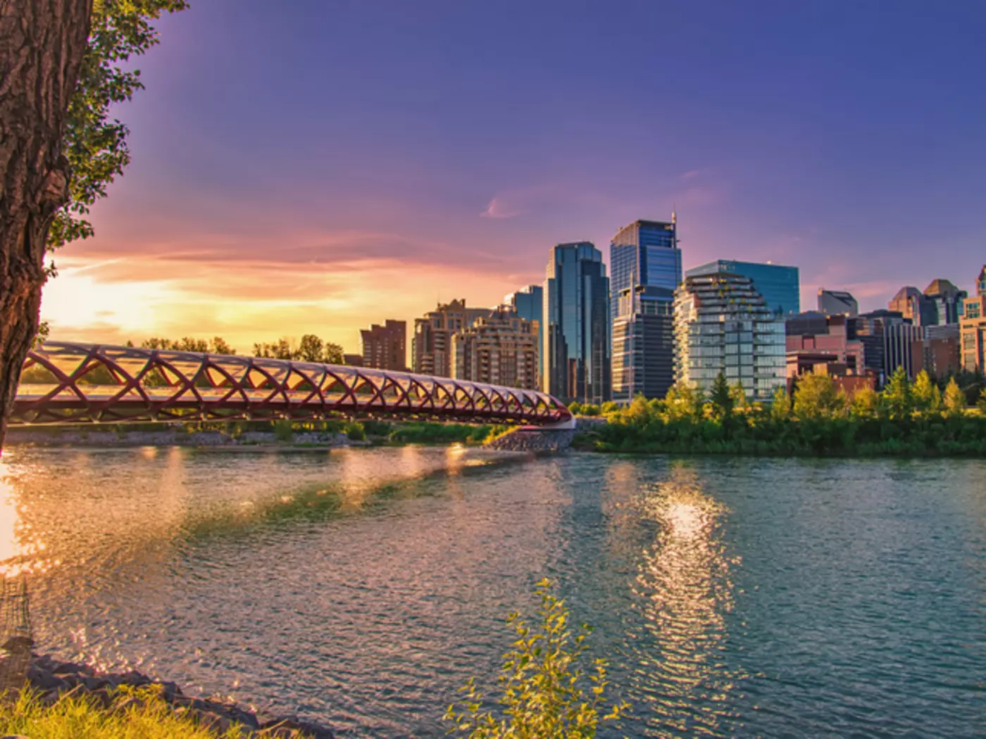 Calgary's Peace Bridge