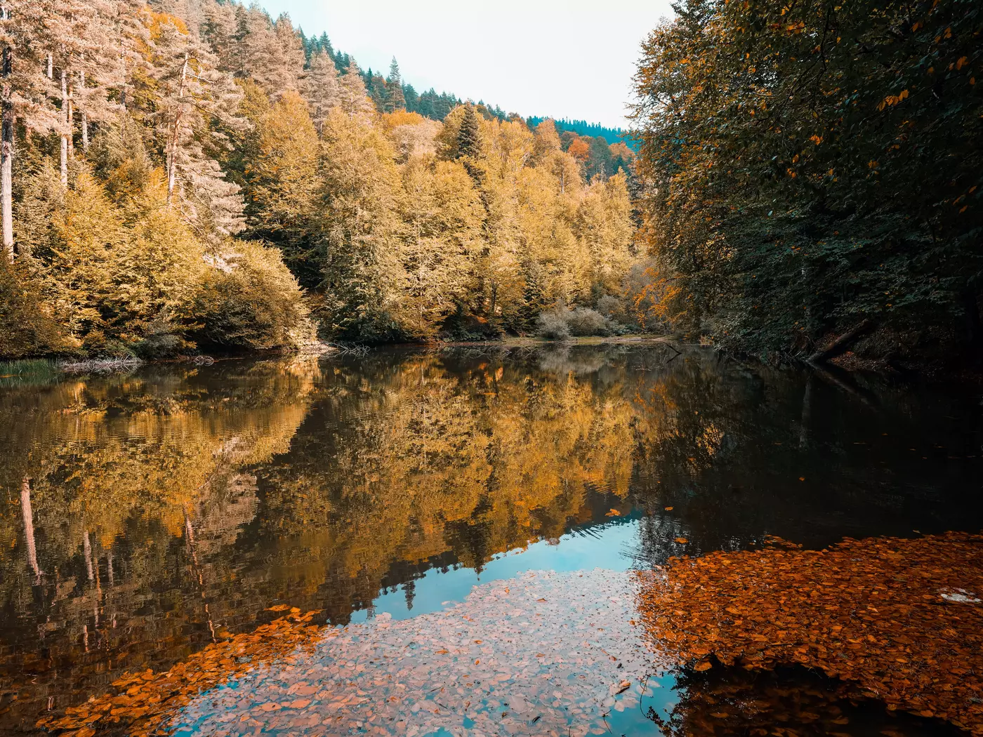 Algonquin Park
