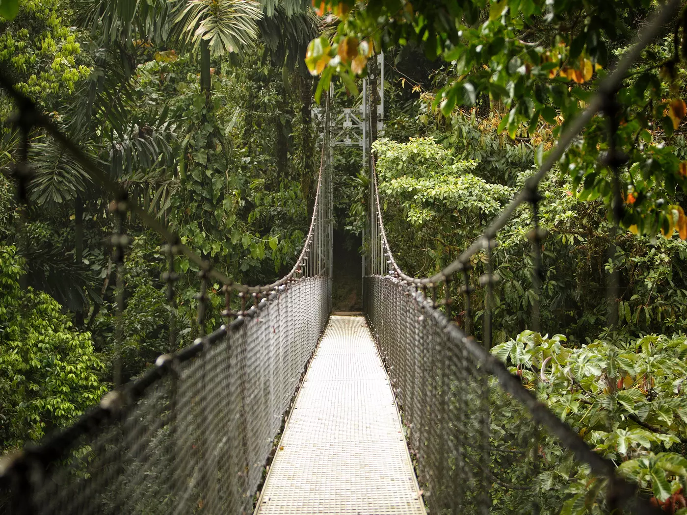 Arenal Hanging Bridges