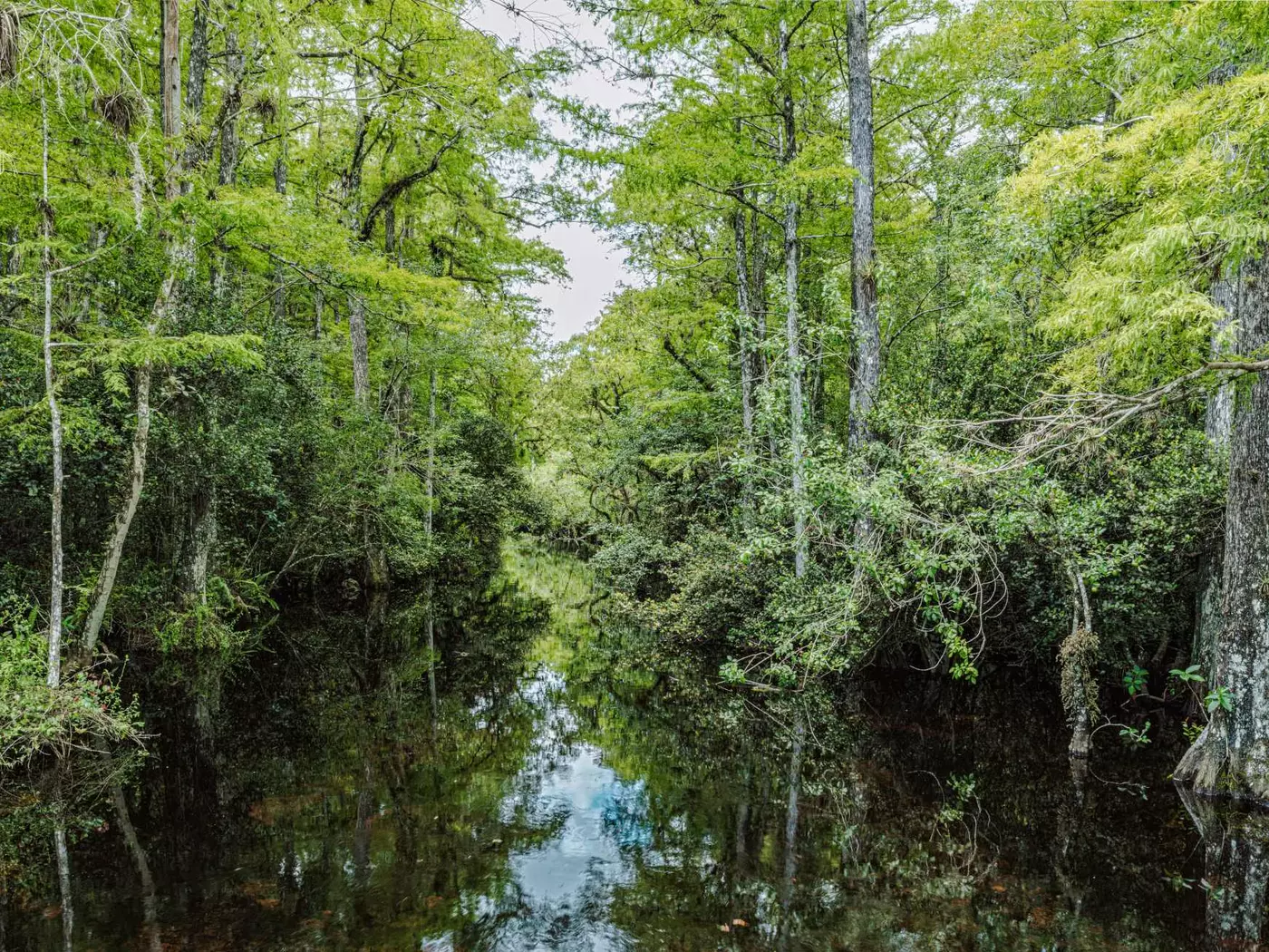 Everglades National Park