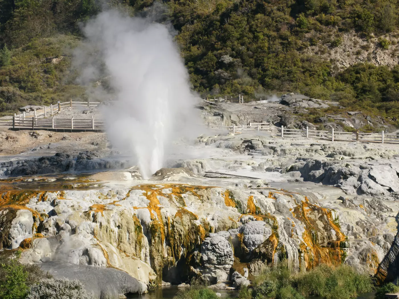 Rotorua Rotorua
