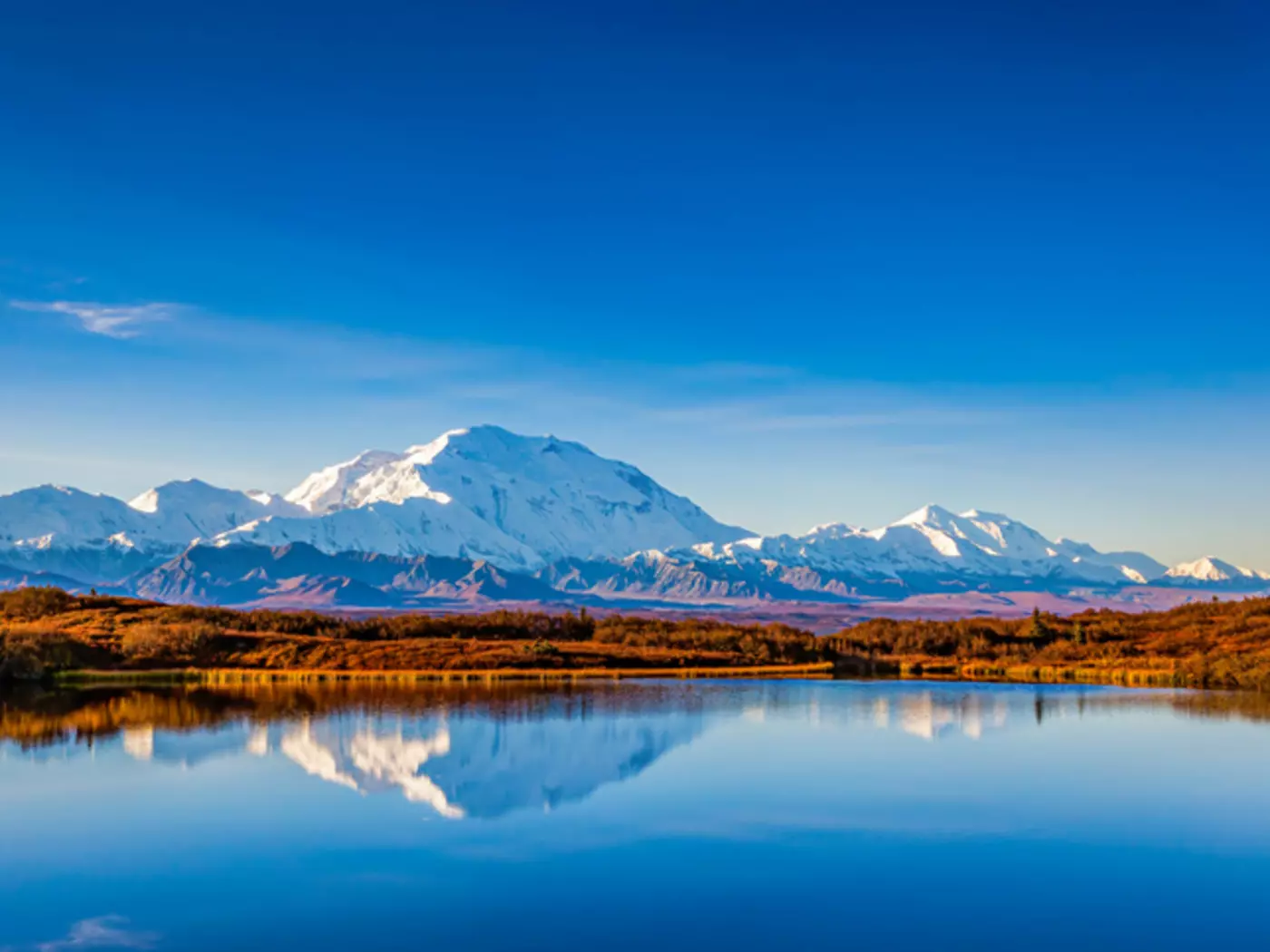 Denali National Park