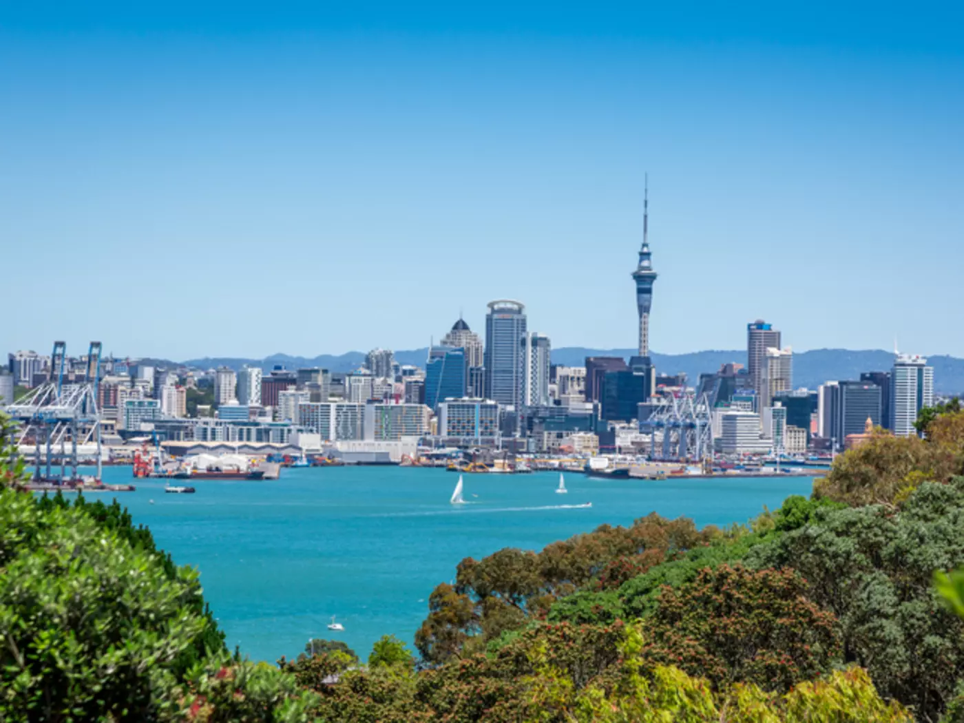 Auckland City Skyline