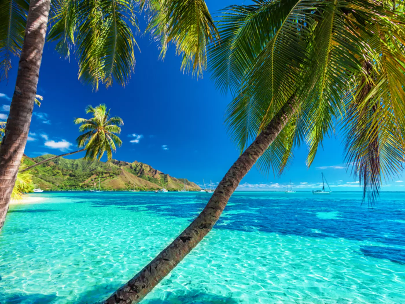 Moorea