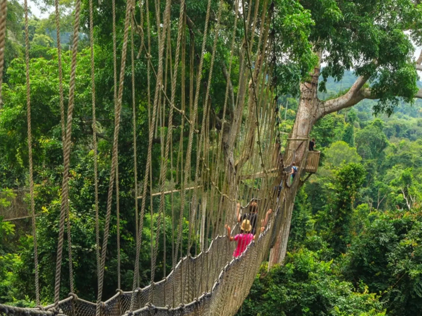 Kakum National Park