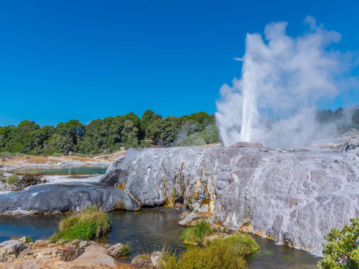 Rotorua, New Zealand A breathtaking view over in Rotorua, an area well known for its geothermal activity and geysers