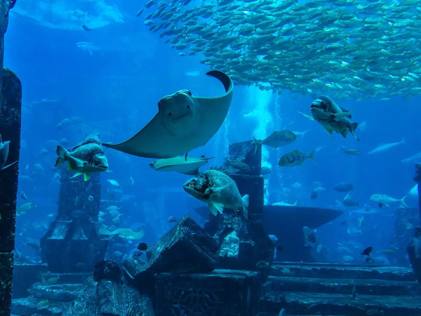 Dubai Aquarium