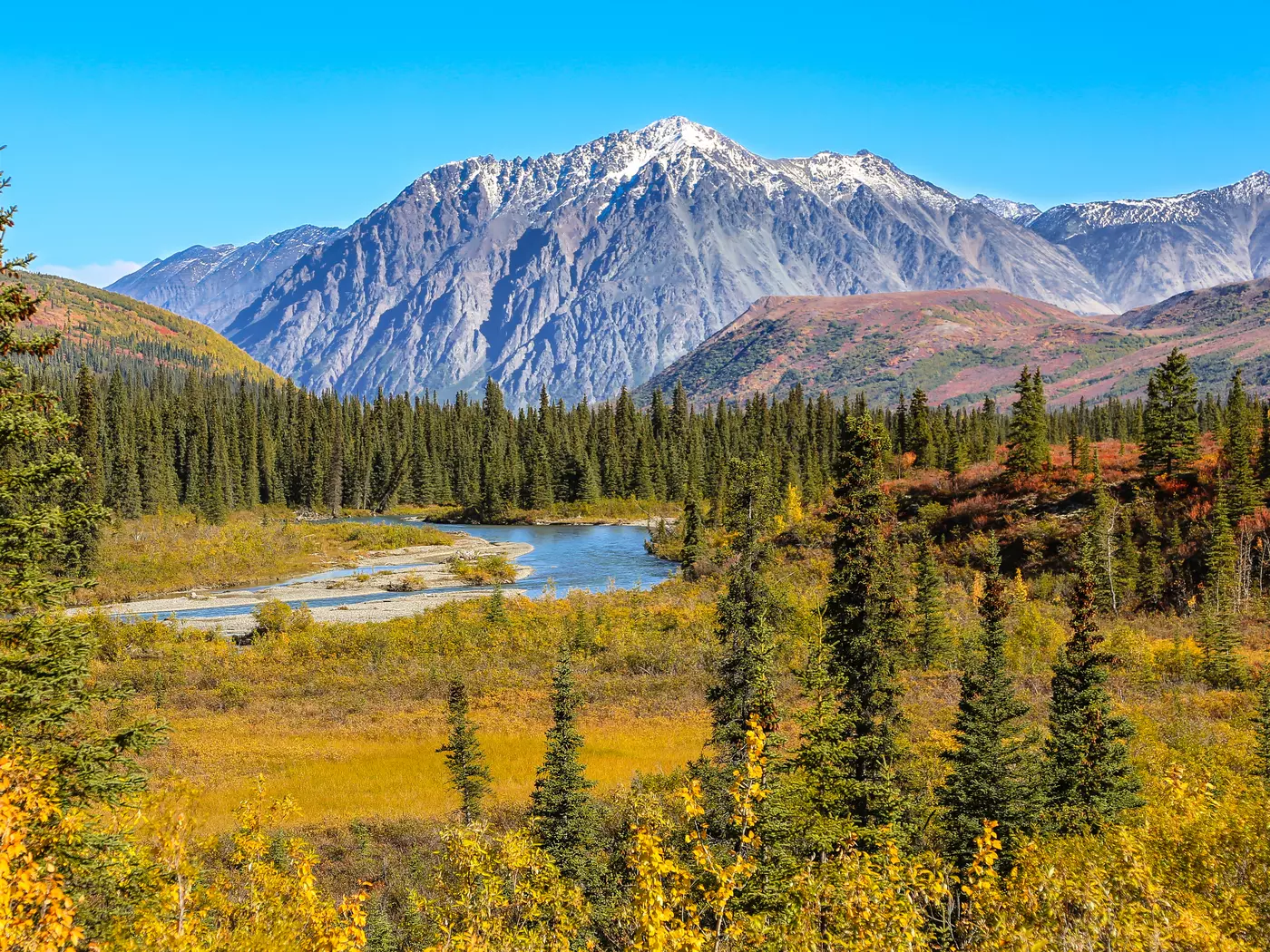 Denali National Park