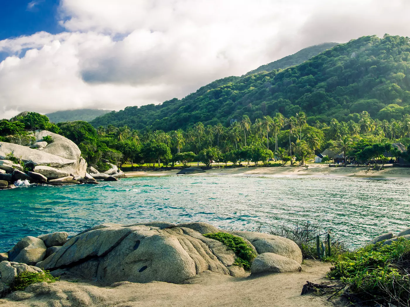Enjoy the lush life existing within Tayrona National Park