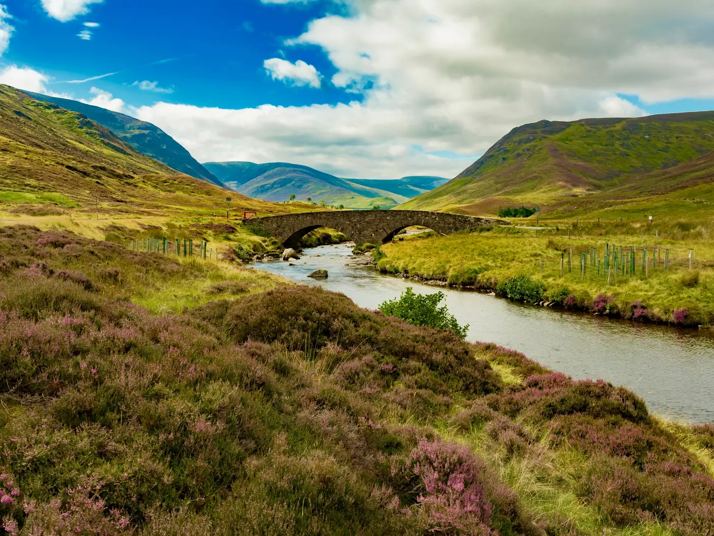 Cairngorms National Park 